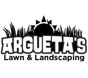 arguetas.png